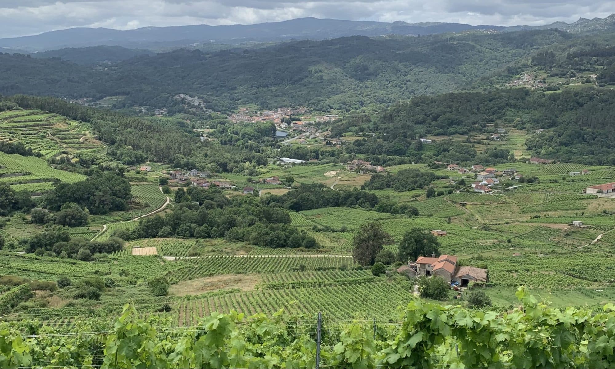 a view of the Val do Avia in the Ribeiro wine region in Galicia, Spain