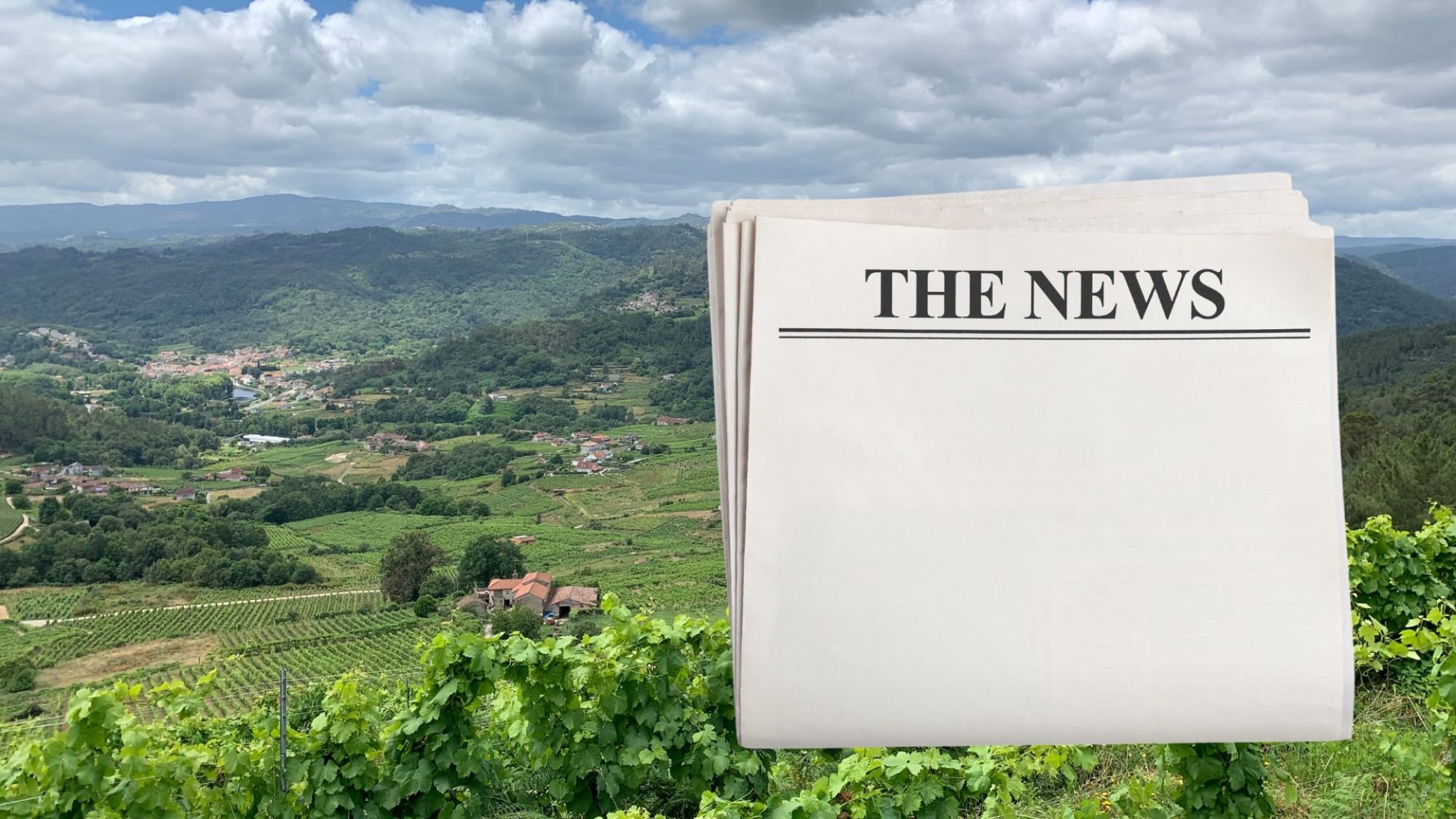a newspaper graphic over a background of a Galician wine landscape